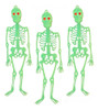 Kit 06 Esqueleto Neon Enfeite Festa Halloween Dia Das Bruxas 0