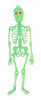 Kit 06 Esqueleto Neon Enfeite Festa Halloween Dia Das Bruxas 1