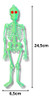 Kit 06 Esqueleto Neon Enfeite Festa Halloween Dia Das Bruxas 2