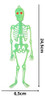 Kit 06 Esqueleto Neon Enfeite Festa Halloween Dia Das Bruxas 3