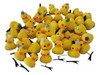 Patito Pollito Kawaii Tiktok Peluche 1