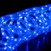 Wyzworks 20' Pies Azul Extensible Led Cuerda De Luces - Flex 2