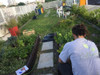 Compostera -cultivarte-c3 N -cajones Apilables-lombricompost 4