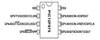 Pic 12f675 - Microchip-  Dip8 2
