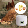 De 9 Com Display Digital Elétrico Para Aves De Criação De 4