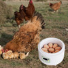 De 9 Com Display Digital Elétrico Para Aves De Criação De 7