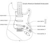 Circuito American Standard Strat Linea Dimarzio Custom 3