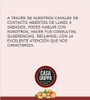 Castañas En Almibar  Magla  X 400gr Distribuidora Caballito 3