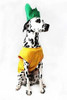 Traje De Perro De Piña De Midlee 2
