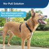 Arnés Petsafe 3 En 1 Con Correa De Control De Dos Puntos, Ar 4