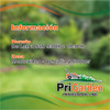 Bordeadora Desmalezadora Prigarden  Pg43 Pro 7