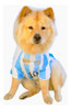 Camiseta Selección Argentina Para Perros ,messi 0 Camiseta Selección Argentina Para Perros ,messi 0