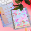 Divisórias Binder Pp Transparentes De 6 Furos Com Folhas Sol 1