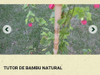 Tutor De Bambu Natural Estaca Planta 30 Peças Com 1.80 M 3
