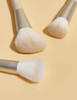 Sheglam Kit De Pincéis Para O Rosto E Bolsa Glam 101 5
