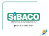 Escoba Chica De Paja Artesanal Para Limpieza Sibaco 2 Escoba Chica De Paja Artesanal Para Limpieza Sibaco 2