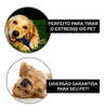 Kit 10 Brinquedo Mordedor Sortidos Cachorro Porte Pequeno 5