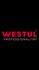 Pinza Amperometrica Digital Westul 1000a Profesional Estuche 6