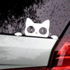 Calco Adhesivo Pegotin Sticker Gato Negro Y Blanco Auto-otro 1