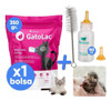 Gatolac Leche Gatos Gatitos Cachorros Sustituto Lacteo 350gr 2 Gatolac Leche Gatos Gatitos Cachorros Sustituto Lacteo 350gr 2