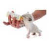 Gatolac Leche Gatos Gatitos Cachorros Sustituto Lacteo 350gr 6 Gatolac Leche Gatos Gatitos Cachorros Sustituto Lacteo 350gr 6