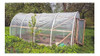 Nylon Invernadero 10 Mts X 6.50 Mts - Techo O Tunel 150 Mic 3 Nylon Invernadero 10 Mts X 6.50 Mts - Techo O Tunel 150 Mic 3
