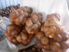Calabazas Para Artesanías X 15 3