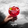 Campari 998ml 3
