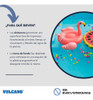 Skimmer Vulcano 20cm + Kit Accesorios Para Pileta Fibra 2