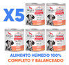 Alimento Humedo Perros Dermaprotect Latas Sieger 340gr X5 2