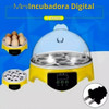 Incubadora Incubadora Digital Automática Inteligente 7 Ovos 1
