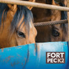 Fort Pec K2 - Equinos 4 Kg 2