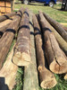 Postes Curado 3mt 12a15 Madera Tratada Eucalipto Piso Techo 1