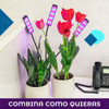Lámpara De Cultivo Indoor Temporizador Plantas Luz Interior 4
