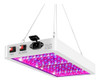 Led Planta Crecer Luz 4000w 5000w Panel Hidropónico Le... 0