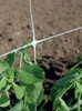 Redes Para Scrog, Soporte Plantas, Cultivo Vertical 1