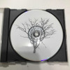 Cd- Steve Camp ( Taking Heaven By Storm, Importado ) 2