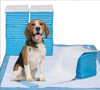 Alfombra Sanitaria Perros Paños Master Pet Mini 45x55 X 70un 2