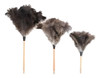 Plumero Chico Plumas Ñandu Natural 1 Plumero Chico Plumas Ñandu Natural 1