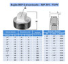 10x Bujão / Plug 1/2'' Bsp Galvanizado - Tupy 150l 3