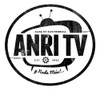 Mini Pinza De Punta Plana P/cables... Anri Tv 2