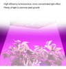 Luz De Crecimiento Plantas De Interior, Luz De Crecimie... 2