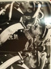 En Negro Y Blanco. Fotos De La Represión En Argentina 7 En Negro Y Blanco. Fotos De La Represión En Argentina 7