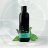 Oferta Especial Caida Del Cabello - Reino 6