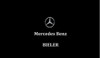 Tensor De Correa Con Polea Mercedes-benz Of 1519 2