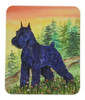 Caroline Tesoros Del Mouse/pad/  salvamanteles, Schnauze 0