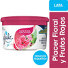 Aromatizante Glade Minigel Placer Floral Y Fru Rojos 70g X 3 1 Aromatizante Glade Minigel Placer Floral Y Fru Rojos 70g X 3 1
