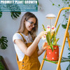 Luces De Crecimiento Plantas De Interior, Lámpara De C... 4