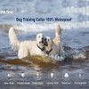 Petrainer Impermeable Collar Del Entrenamiento Del Perro Con 2