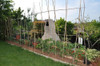 Tutores Caña Bambu 160cm 10u Tomateras Enredaderas 1